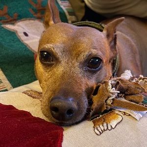 Meet your Posher, Julian